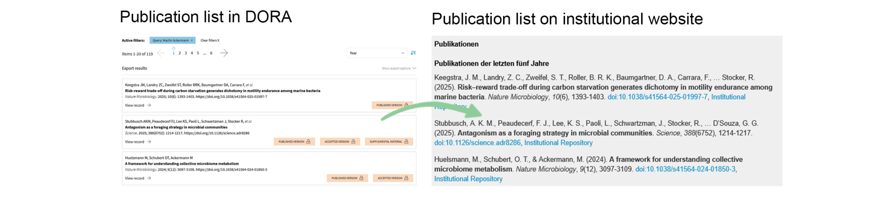 DORA_WebsiteIntegration_Overview
