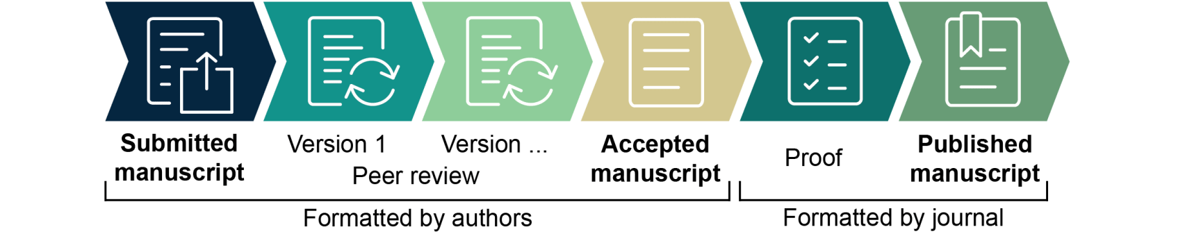 Publication Workflow