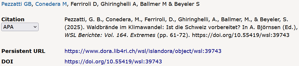 DOI for WSL publication