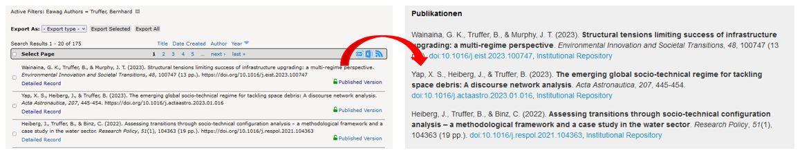 Publication lists from DORA shown in a webpage